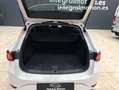 SEAT Leon SP 1.0 eTSI 81kW DSG S&S Style Go Blanco - thumbnail 30