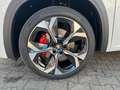 Skoda Kodiaq RS 4X4 ACC DCC MATRIX Weiß - thumbnail 5