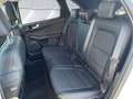 Ford Kuga 2.5 Plug-in-Hybrid ''Titanium X'' Panoramadach LED Weiß - thumbnail 13