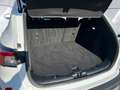 Ford Kuga 2.5 Plug-in-Hybrid ''Titanium X'' Panoramadach LED Weiß - thumbnail 12