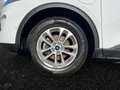 Ford Kuga 2.5 Plug-in-Hybrid ''Titanium X'' Panoramadach LED Weiß - thumbnail 6