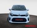 Kia Picanto Dream Team NAVI CARPLAY KAMERA ANDROITAUTO White - thumbnail 9