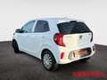 Kia Picanto Dream Team NAVI CARPLAY KAMERA ANDROITAUTO White - thumbnail 3