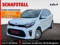 Kia Picanto Dream Team NAVI CARPLAY KAMERA ANDROITAUTO White - thumbnail 1
