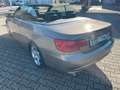 BMW 325 i Cabrio*1 Hand*Scheckheftgepflegt bei BMW* Brun - thumbnail 23