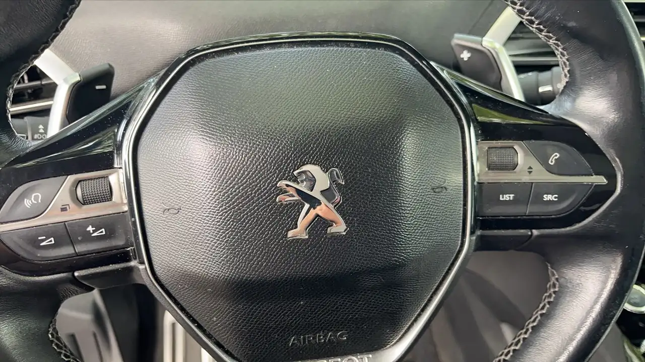 Peugeot 3008 3008 — photo 29