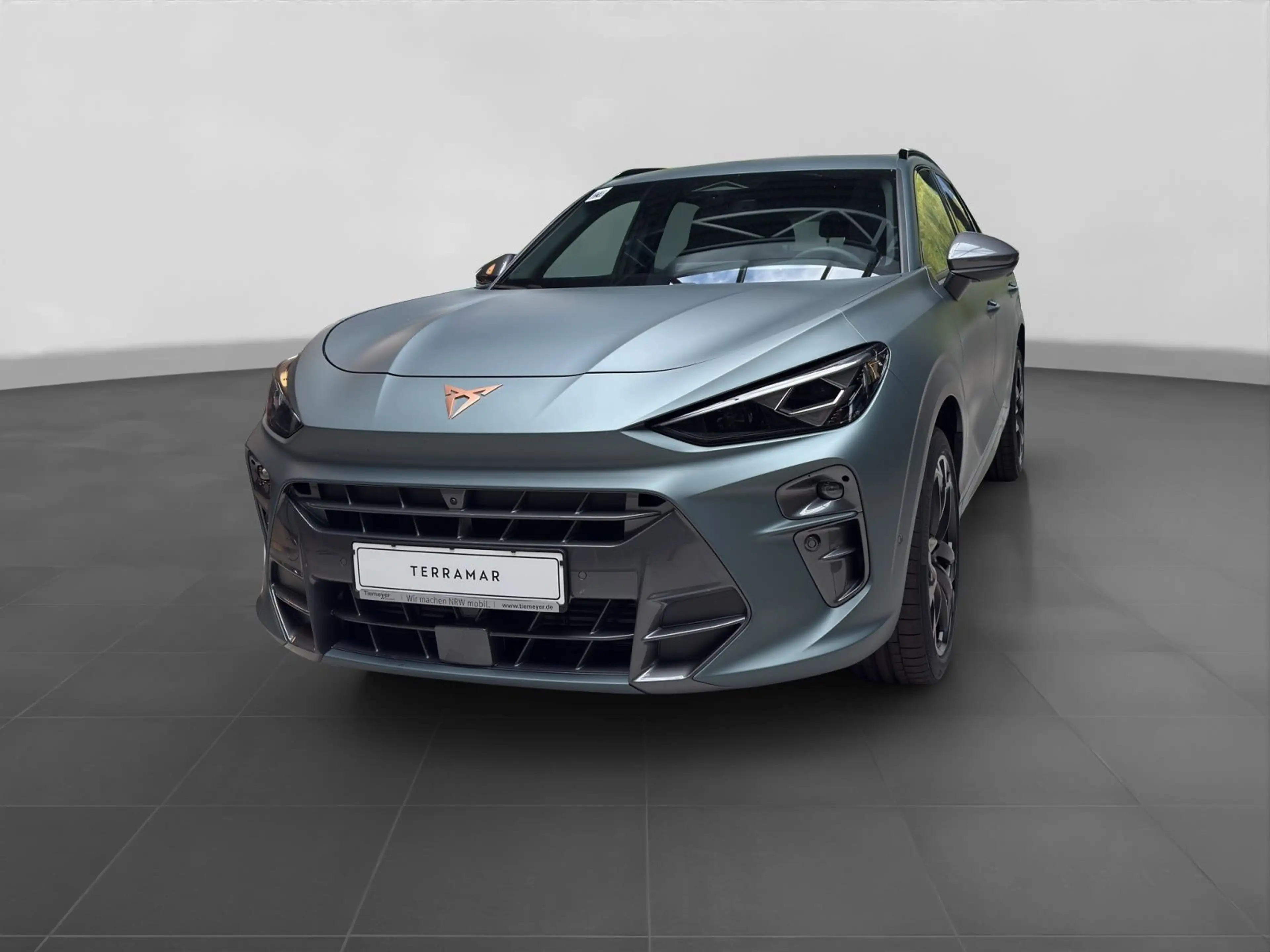 CUPRA Terramar 2.0 TSI DSG VZ 4DRIVE AREA VIEW AKEBONO — photo 2