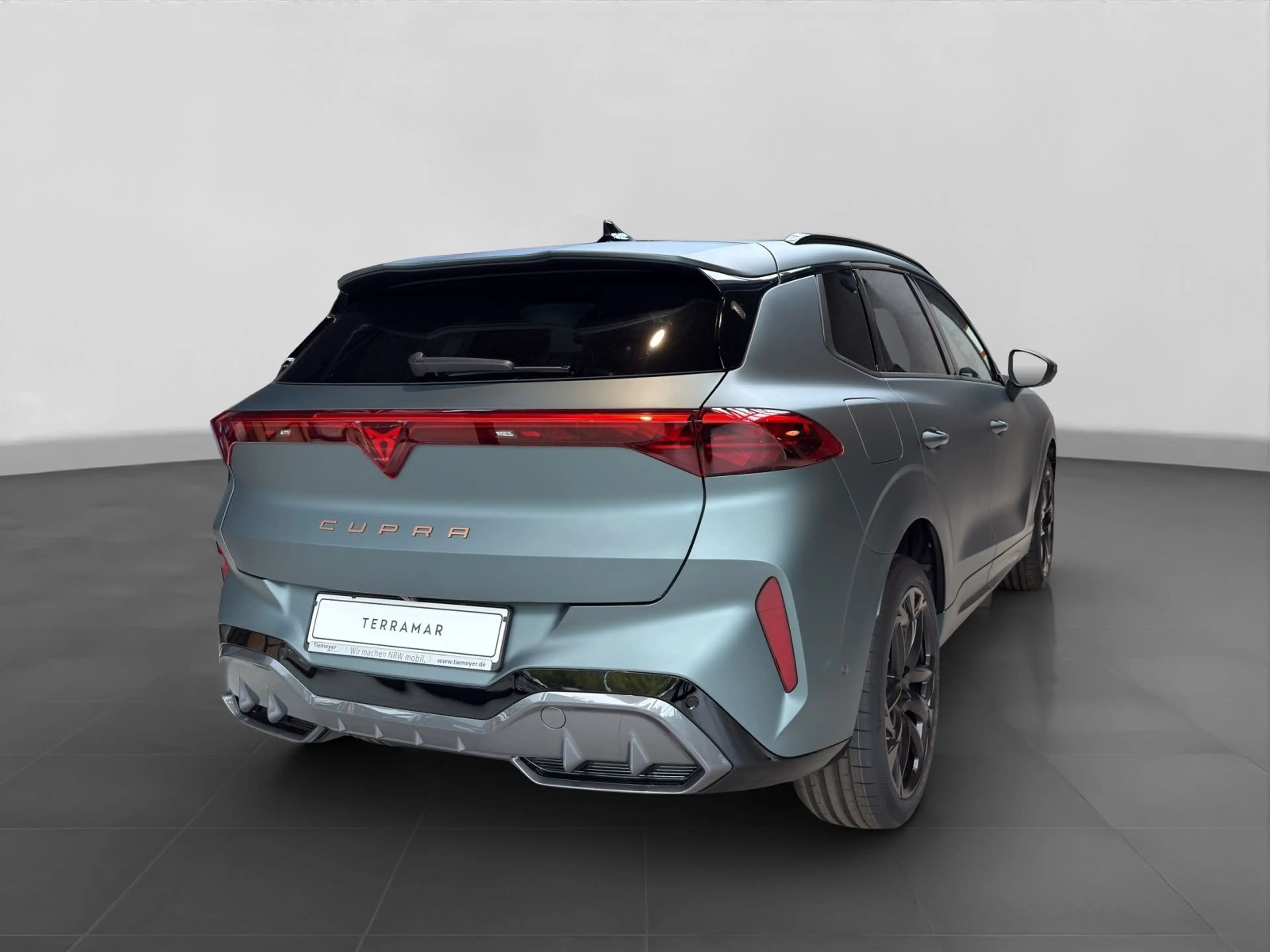 CUPRA Terramar 2.0 TSI DSG VZ 4DRIVE AREA VIEW AKEBONO — photo 3