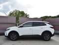 Opel Grandland 1.2 Turbo Level 2 130 PK | AUTOMAAT | ACHTERUITRIJ Wit - thumbnail 3