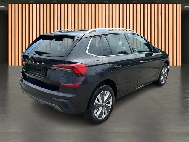 Skoda Kamiq view 6