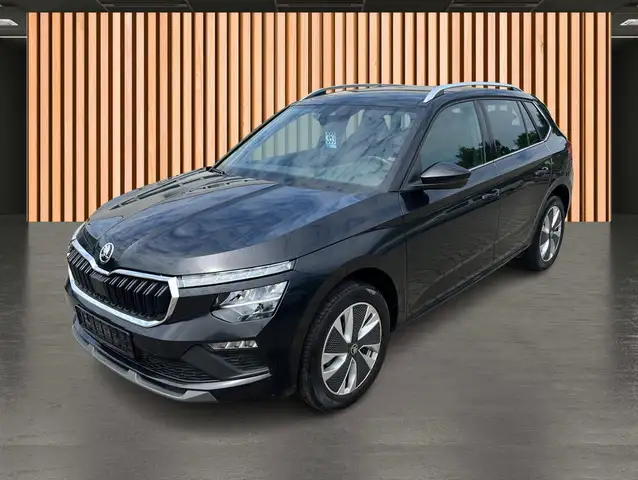 Skoda Kamiq view 2