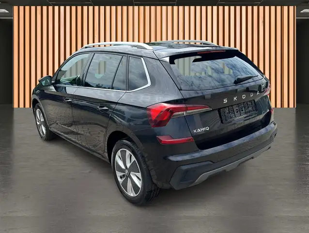 Skoda Kamiq view 10