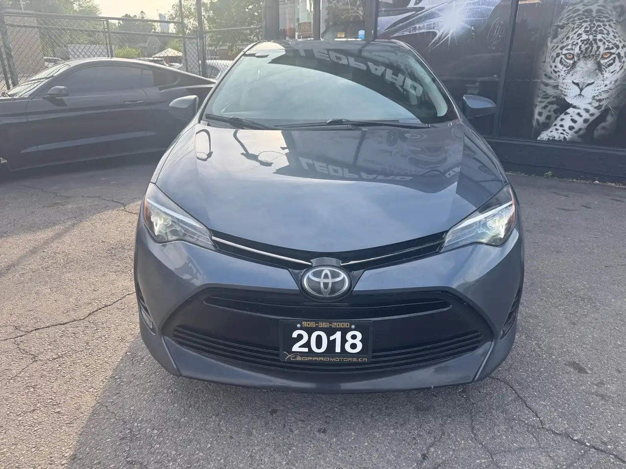 Toyota Corolla снимка Toyota Corolla