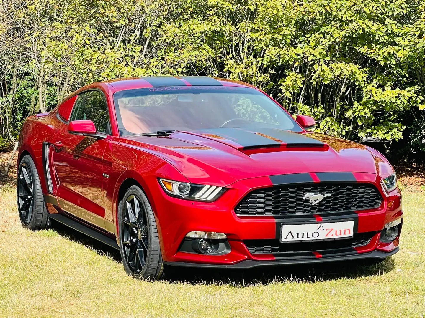 Ford Mustang Fastback 2.3 EcoBoost/Performance Pack(Bij 2015) Rouge - 1