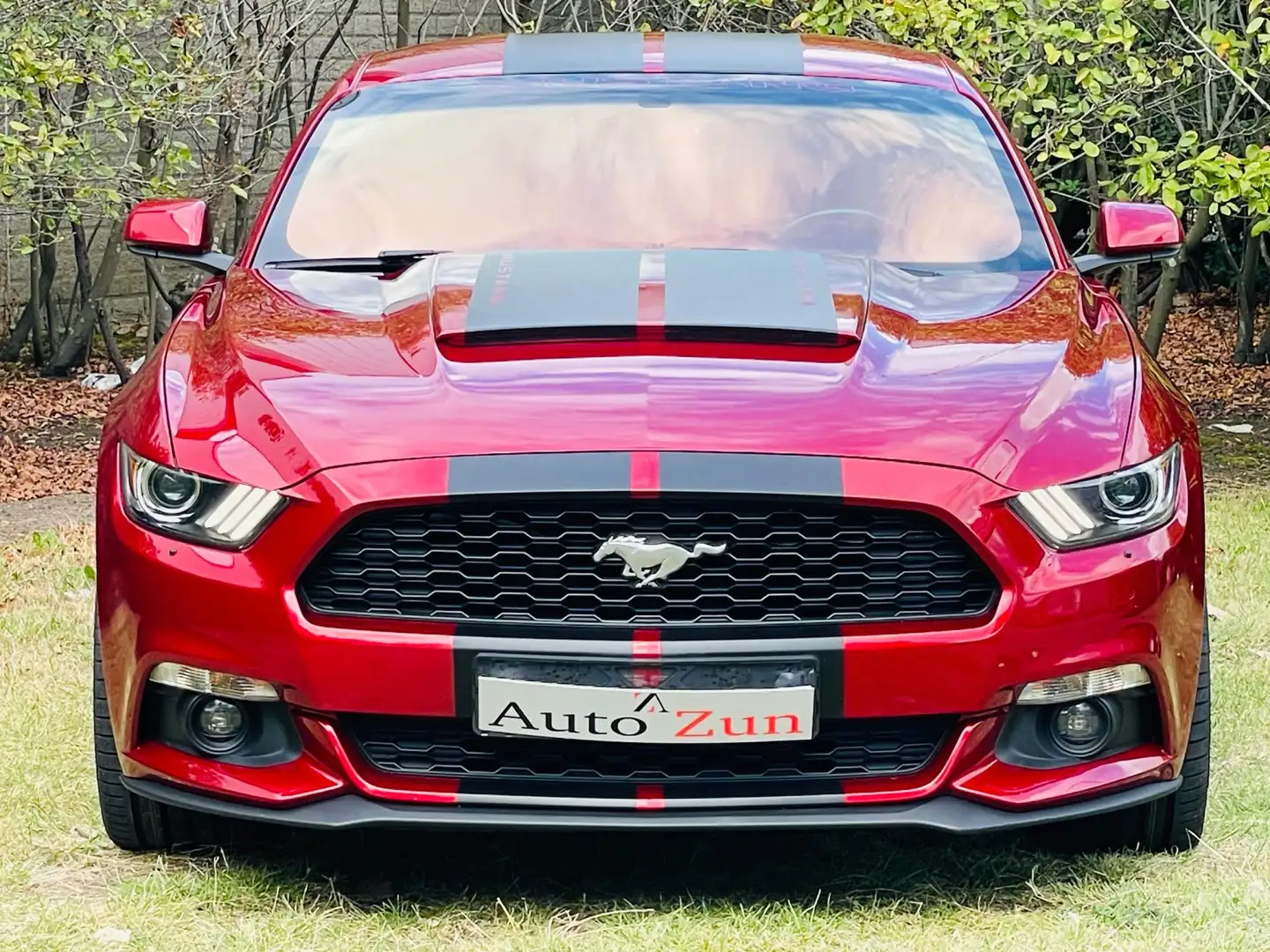 Ford Mustang Fastback 2.3 EcoBoost/Performance Pack(Bij 2015) Rouge - 2