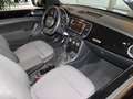 Volkswagen Beetle Beetle Cabriolet 2.0 TDI Noir - thumbnail 8