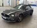 Ford Mustang Mustang Convertible 2.3 EcoBoost Aut. Negro - thumbnail 14
