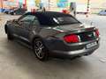 Ford Mustang Mustang Convertible 2.3 EcoBoost Aut. Negro - thumbnail 17