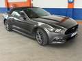 Ford Mustang Mustang Convertible 2.3 EcoBoost Aut. Negro - thumbnail 18