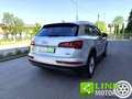 Audi Q5 2.0 TDI quattro S tronic S line plus GARANZIA INCL Argento - thumbnail 13
