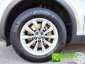 Audi Q5 2.0 TDI quattro S tronic S line plus GARANZIA INCL Argento - thumbnail 9