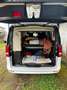 Mercedes-Benz V 250 V 250d Extralargo Marcopolo Blanco - thumbnail 14