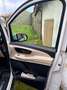 Mercedes-Benz V 250 V 250d Extralargo Marcopolo Blanco - thumbnail 13