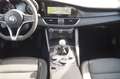Alfa Romeo Giulia Super Klimaauto PDC Bi-Xen PDC Euro6 Grau - thumbnail 13