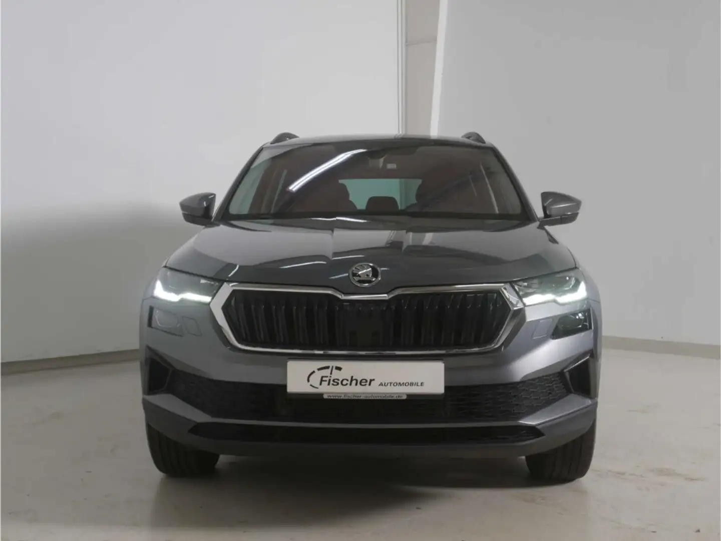 Skoda Karoq 2.0 TDI Ambition 4x4 Grau - 2