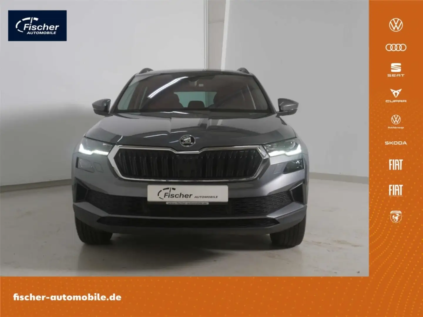 Skoda Karoq 2.0 TDI Ambition 4x4 Grau - 1