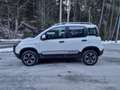Fiat Panda Cross 4x4**NEUWERTIG**NUR 4800KM** Weiß - thumbnail 8