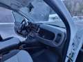 Fiat Panda Cross 4x4**NEUWERTIG**NUR 4800KM** Weiß - thumbnail 13