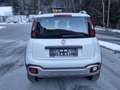 Fiat Panda Cross 4x4**NEUWERTIG**NUR 4800KM** Weiß - thumbnail 5