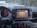 Fiat Panda Cross 4x4**NEUWERTIG**NUR 4800KM** Weiß - thumbnail 17