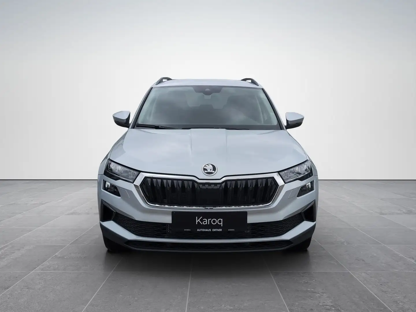Skoda Karoq Selection TDI DSG Argento - 2