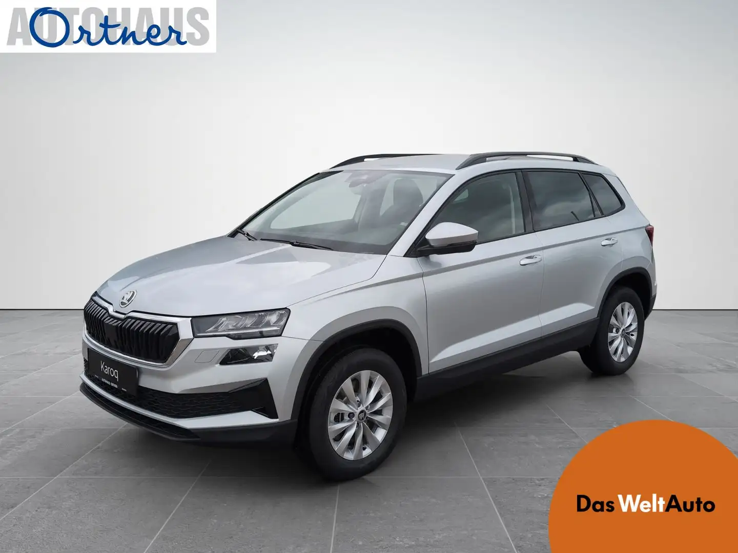 Skoda Karoq Selection TDI DSG Argento - 1