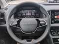 Skoda Karoq Selection TDI DSG Argento - thumbnail 15