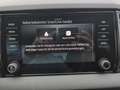 Skoda Karoq Selection TDI DSG Silber - thumbnail 23