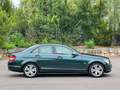 Mercedes-Benz C 230 C Limousine C 230 Avantgarde Grün - thumbnail 15