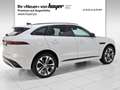 Jaguar F-Pace P400e AWD R-Dynamic HSE Hybrid AHK HUD Weiß - thumbnail 2