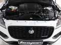 Jaguar F-Pace P400e AWD R-Dynamic HSE Hybrid AHK HUD Weiß - thumbnail 13