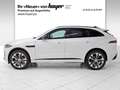 Jaguar F-Pace P400e AWD R-Dynamic HSE Hybrid AHK HUD Weiß - thumbnail 3