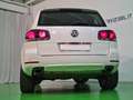 Volkswagen Touareg Touareg 2.5 tdi R5 Exclusive dpf FL Blanc - thumbnail 42