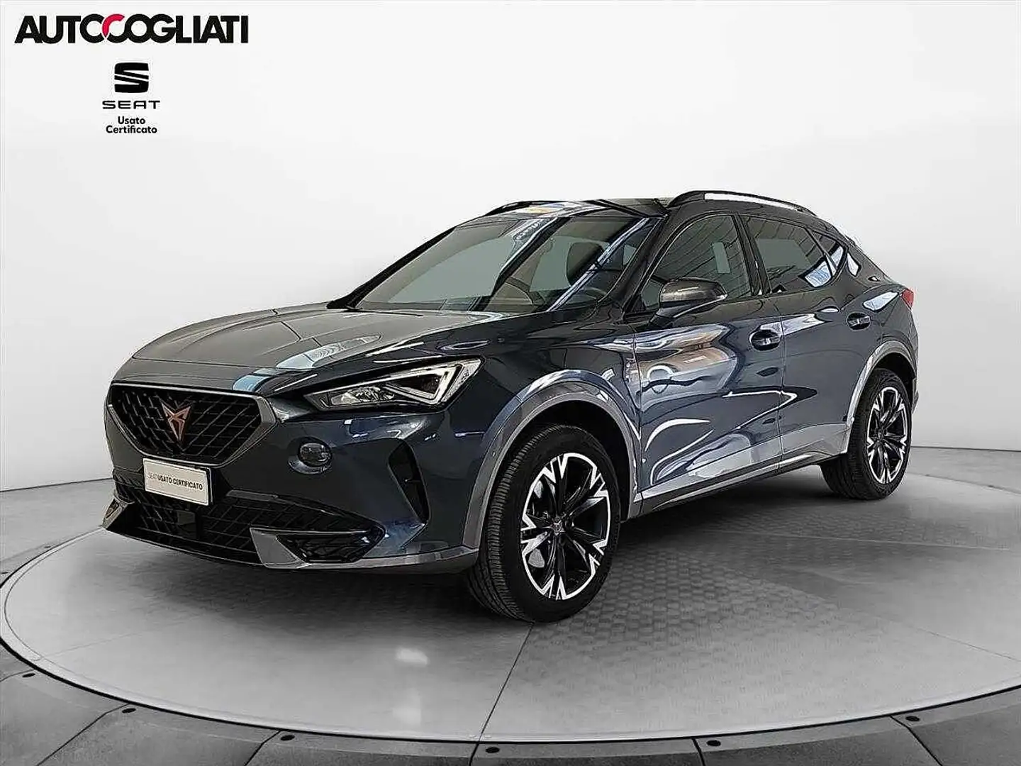 CUPRA Formentor 2.0 TDI 4DRIVE DSG 150CV Grigio - 1