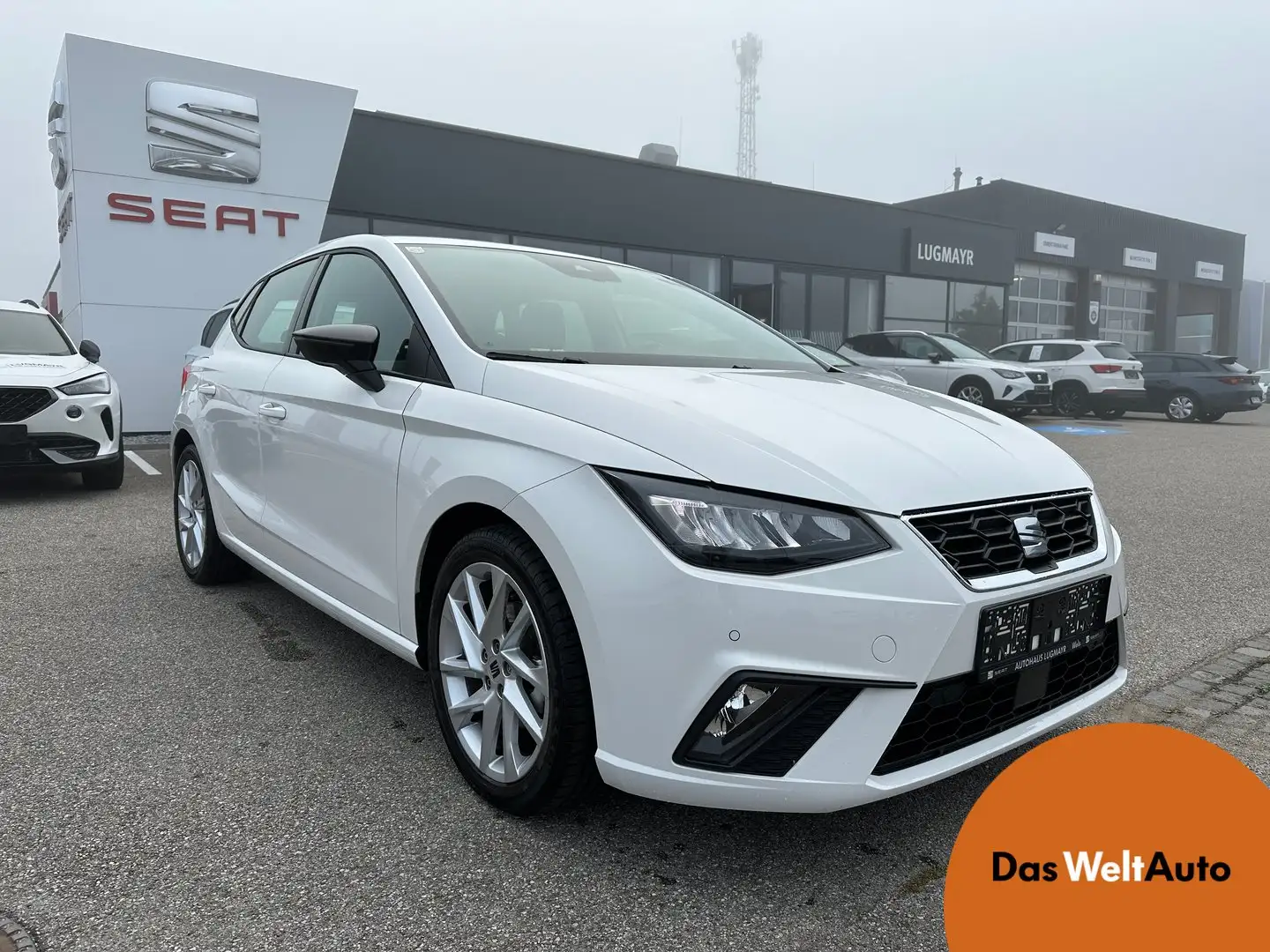 SEAT Ibiza Weiß - 1