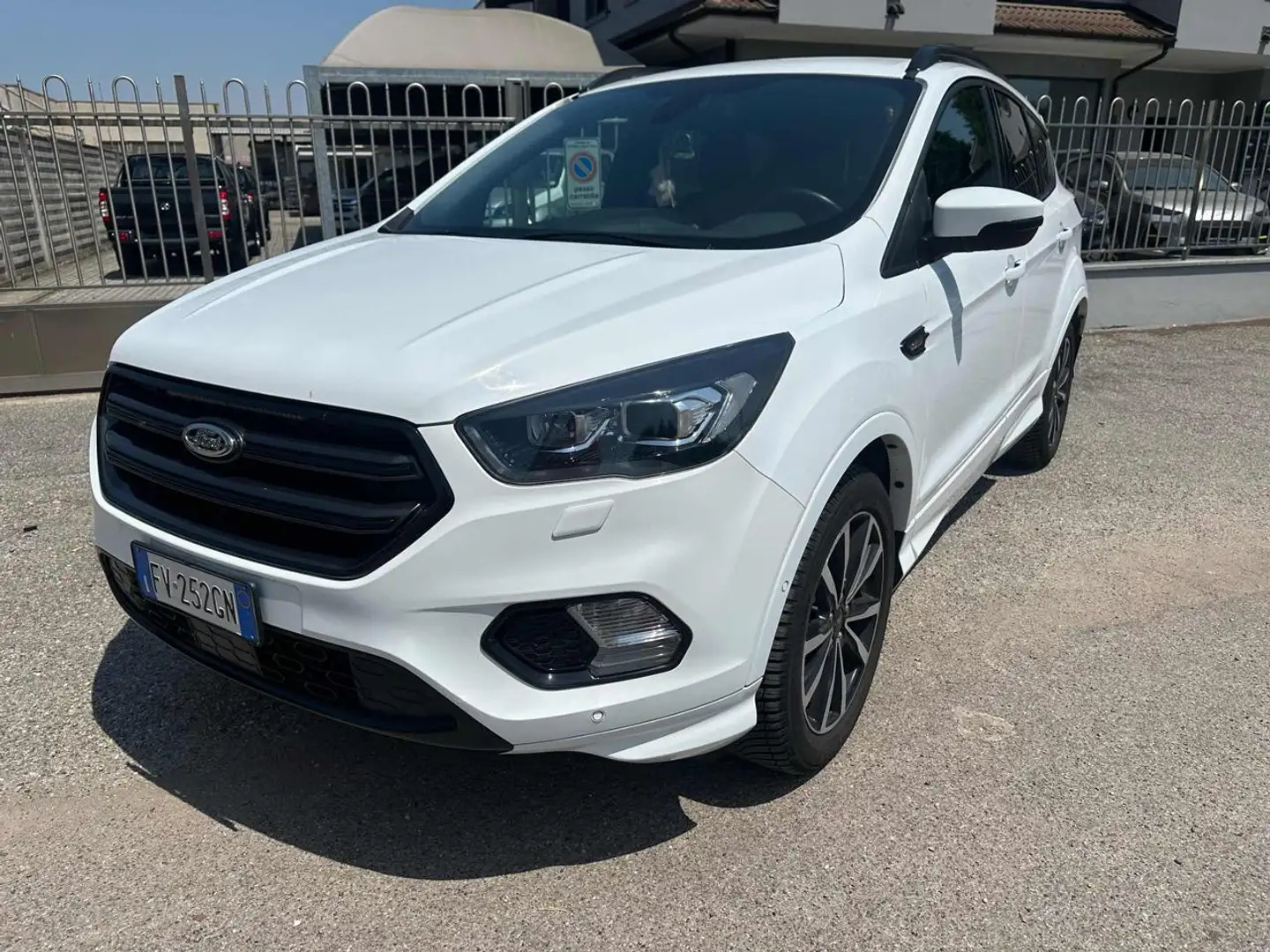 Ford Kuga 1.5 EcoBoost 150 CV S&S 2WD aut. ST-Line Bianco - 1