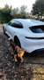 Porsche Taycan Taycan Sport Turismo Blanco - thumbnail 4