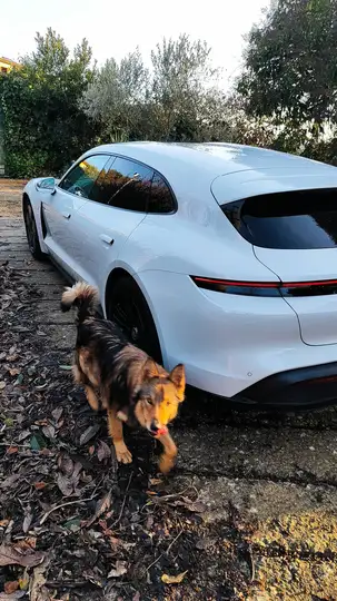 Porsche Taycan 2022, foto 4