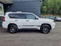 Toyota Land Cruiser Landcruiser 2,8 D-4D 4WD **1Hand+Garantie** Weiß - thumbnail 2