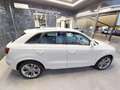 Audi Q3 2.0 TDI 120 CV quattro S tronic S line Edition Weiß - thumbnail 36